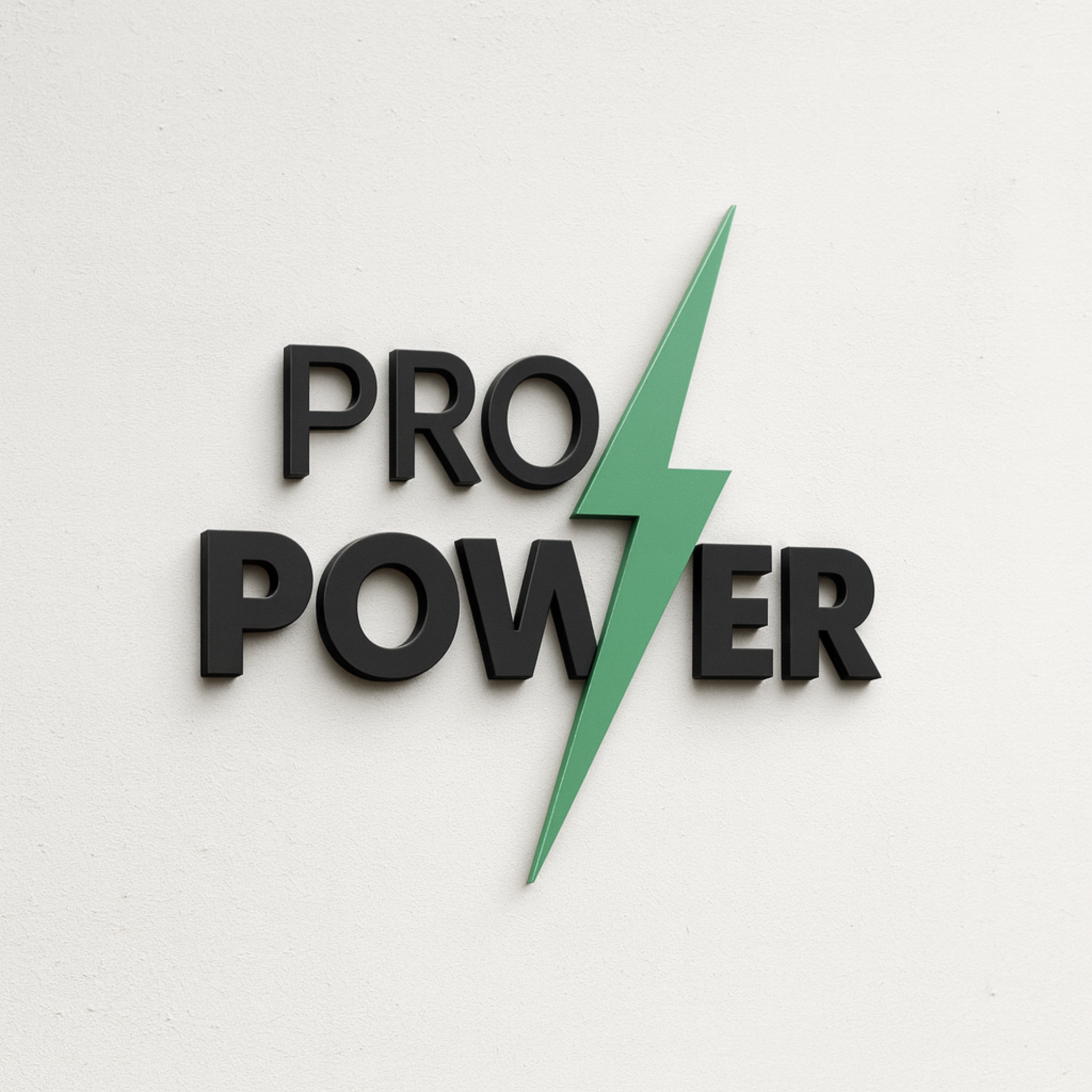Pro Power logo